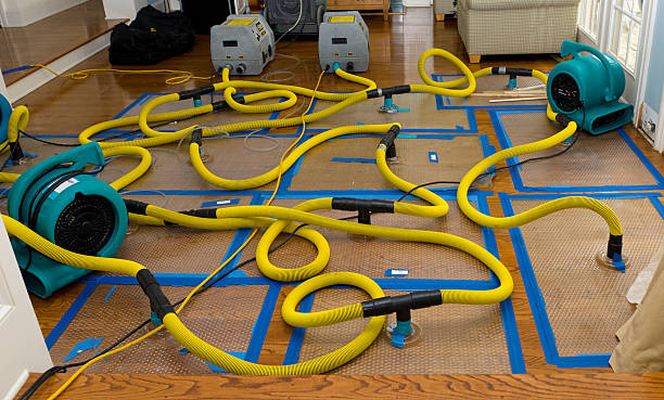 Professional Sewage Cleanup technician working in Hockingport, OH